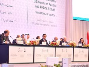 Kerja Sama Antar Negara OKI Penting untuk Boikot Produk Israel