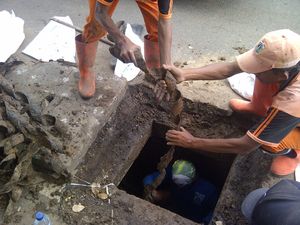 Pasukan Oranye dan Biru Bersatu, Bungkus Kabel Diangkut Lagi dari Got