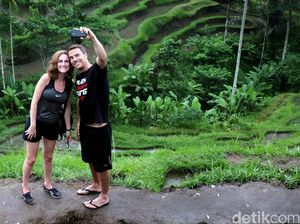 Satgas Minta Bali-Kepri Jaga Mobilitas Turis Asing, Jangan Sampai Wisata ke Luar Daerah Satgas Minta Bali-Kepri Jaga Mobilitas Turis Asing, Jangan Sampai Wisata ke Luar Daerah