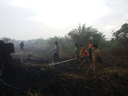 Api yang Membakar Lahan di Sekitar Bandara Dumai Mulai Padam