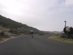 Asyik Bersepeda di Afrika, 2 Traveler Dikejar Burung Unta