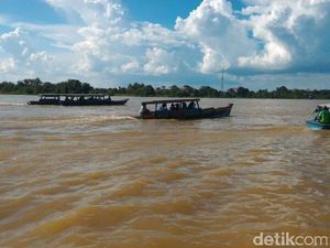Ratusan Orang Jelajahi Sungai Batanghari Jambi untuk Tonton Gerhana Matahari