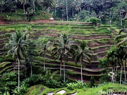 Ubud Dinilai Berpotensi Jadi Destinasi Wisata MICE