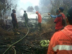 TNI-Polri Berjibaku Padamkan Kebakaran Lahan di Siak Riau, ini Penampakannya