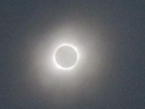Kota Darwin di Kawasan Australia Utara Kebagian Melihat Gerhana Matahari Kota Darwin di Kawasan Australia Utara Kebagian Melihat Gerhana Matahari