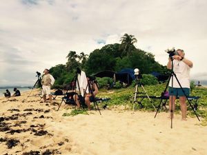 Aksi Turis Asing dan Ilmuwan NASA Pantau Gerhana di Pulau Plun Halmahera Timur Aksi Turis Asing dan Ilmuwan NASA Pantau Gerhana di Pulau Plun Halmahera Timur