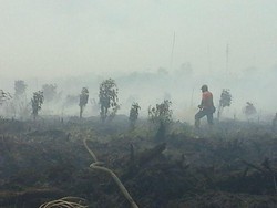 Telusuri SP3 15 Perusahaan Pembakar Hutan, Mabes Polri Kirim Tim ke Polda Riau