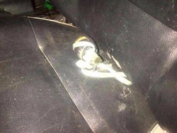 Tangkap Pengedar Sabu, BNNP Jateng Temukan Granat