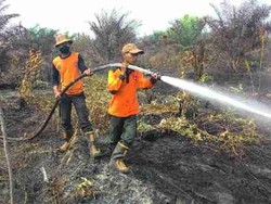 Ada 182 Hotspot di Kawasan Hutan dan Lahan di Indonesia, Ini Sebarannya