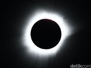 Maret: Pesan Menkes Terkait Menonton Fenomena Gerhana Matahari