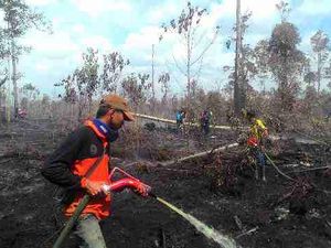 Pemerintah Harus Segera Eksekusi Pembakar Hutan yang Dihukum Rp 366 Miliar