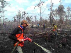 BNPB: Kebakaran Lahan Terus Meningkat, Penyebabnya Sengaja Dibakar