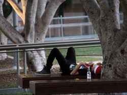 Warga Ibu Kota Australia yang Buang Air Kecil Sembarangan Meningkat di Musim Panas