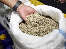 Ironi RI, Negeri Kaya Rempah Tapi Impor Cengkeh dan Lada