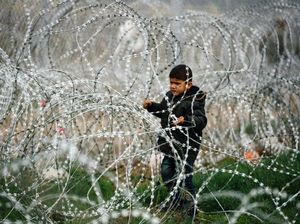 Slovenia dan Kroasia Tutup Perbatasan untuk Persinggahan Pengungsi
