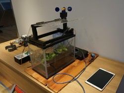 Anak Madrasah Bikin Penyiram Tanaman Otomatis via Ponsel