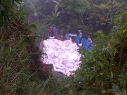 Truk Fuso Masuk Jurang di Padang Sidempuan, Sopir Tewas Terjepit di Kabin