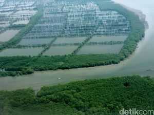 Aliran Sungai hingga Danau Disulap Jadi Pusat Ekobud di Jabar