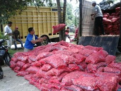 Polda Sumut Amankan 16 Ton Bawang Merah Ilegal, Diduga Selundupan dari Malaysia