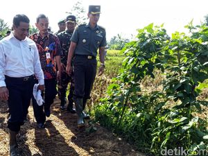 Mentan Amran Canangkan Program Sergab Di Sukabumi