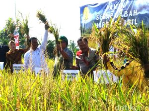 Ini Penjelasan Mentan Libatkan TNI Dalam Penjualan Padi