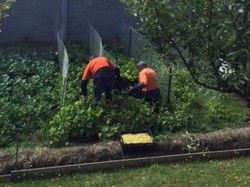 Penjara di Hobart Pasok Sayuran untuk Lembaga Amal