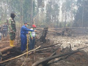 Ini Senjata Jokowi Cegah Pembakaran Hutan