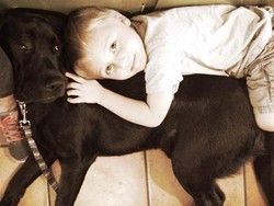 Hebat! Anjing Ini Bisa Deteksi Saat Gula Darah Pemiliknya Drop