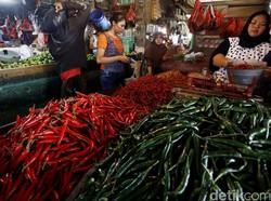 Harga Cabai Tinggi, Pedagang: Kita Nggak Ambil Untung Banyak