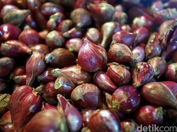 Polisi Amankan 5 Truk Bermuatan Bawang Merah Ilegal di Jambi