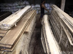 Punya Sertifikat Legal, Produk Kayu RI di 2 Negara Ini Bebas Uji Tuntas
