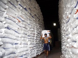 Produksi Beras Surplus Diragukan Bank Dunia, Ini Respons Kementan