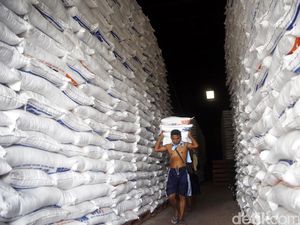 Harga Gabah di Sumsel Turun Rp 800/Kg Harga Gabah di Sumsel Turun Rp 800/Kg