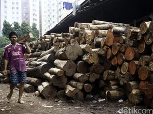 Ekspor Kayu RI ke Eropa Wajib SVLK, Adakah Dampaknya ke Harga Jual?
