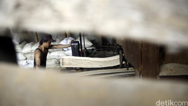 Pro Kontra Sistem Verifikasi Legalitas Kayu