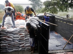Pembentukan Badan Pangan Nasional Diharapkan Bisa Segera Terwujud