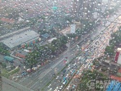 Pohon Tumbang di Depan Plaza Aldiron, Simpang Pancoran Macet Total