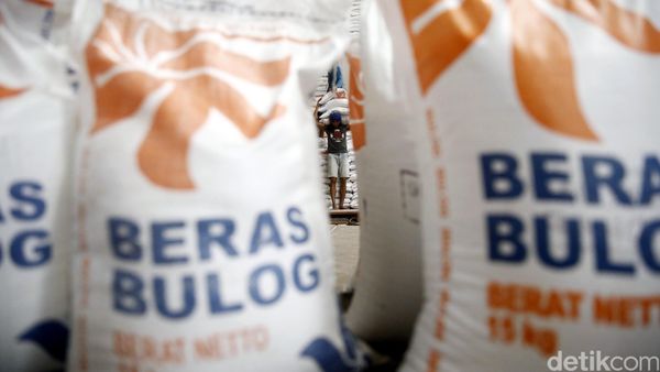 Melihat Aktivitas di Gudang Bulog