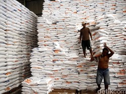 Buwas Jamin Tahun Ini Tak Perlu Impor Beras