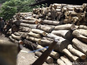 Ada SVLK, Kayu Asal RI Lebih Mudah Tembus Pasar Uni Eropa