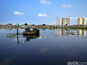 Cegah Pendangkalan Waduk Pluit