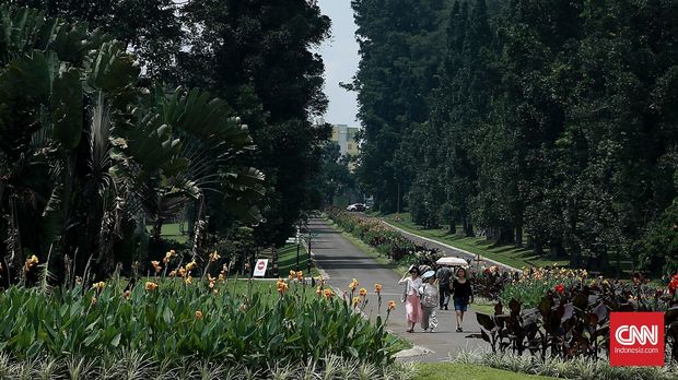 Pada kunjungan Ratu Belgia, Putri Astrid denga rombongan kerajaan ke Kebun Raya Bogor, untuk melihat sejarah keluarga kerajaannya.Pihak kebun raya tetap mebuka Kebun Raya Bogor untuk pengunjung.Pada tahun 1928, Pangeran Leopold III dan Putri Astrid, yang kemudian jadi Raja dan Ratu pernah mengunjungi Kebun Raya Bogor.Bogor, 16 Maret 2016.CNN IOndonesia/Andry Novelino.