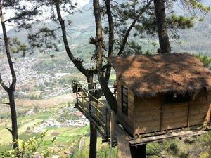 Yang Fotogenik di Malang, Hotel di Atas Pohon