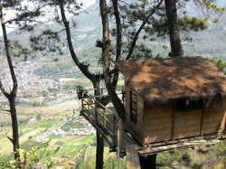 Yang Fotogenik di Malang, Hotel di Atas Pohon