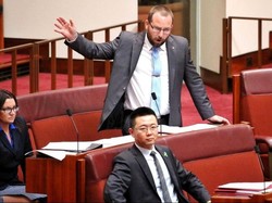 Senator Australia Disarankan Bawa Bantal ke Kantor