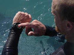 Google Boyong Play Store ke Android Wear