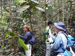Ilmuwan Jepang Teliti Hutan di Riau, ini Temuan Mereka soal Keragaman Flora
