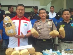 Jadi Kurir Ganja 4 Kg, Ibu Rumah Tangga Ditangkap BNN di Medan