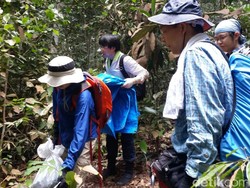 Belajar dari Ilmuwan Jepang yang Tak Buang Sampah saat Teliti Hutan Riau
