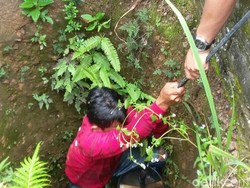 Panik Dikejar Polisi, Perampok Sadis ini Nyemplung Sumur dan Nyaris Tenggelam